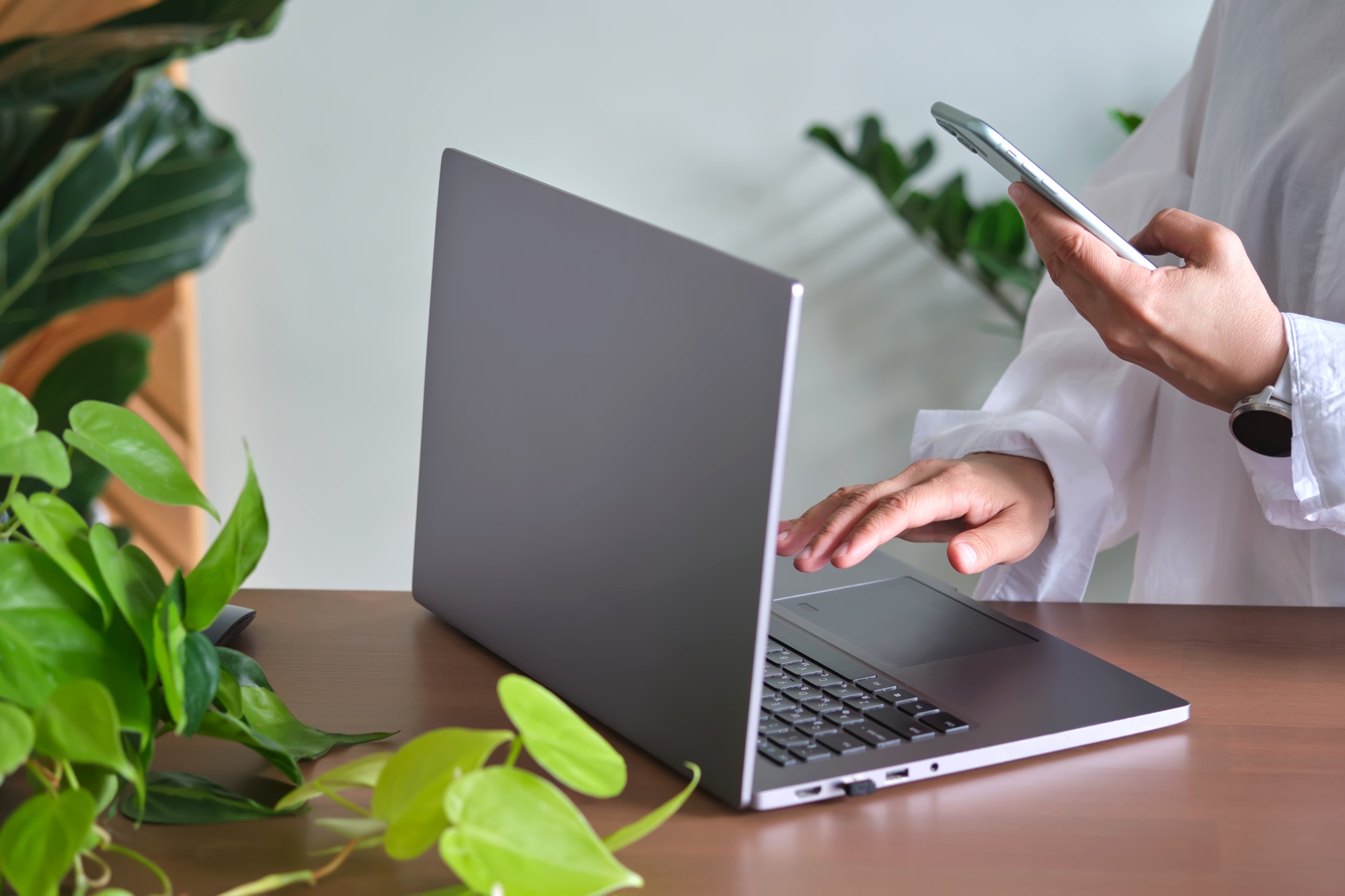 Women's hands at a laptop against a background of greenery.